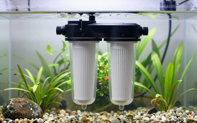 Best Canister Filter for 75 Gallon Planted Tank in 2026: Compared and Ranked