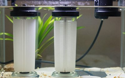 Best Canister Filters for 100 Gallon Aquariums: Flow Math and Picks