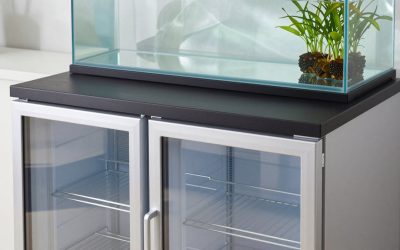 Best Chest Freezers Today in 2026: Top Picks Compared