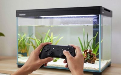Best Co-Op Games This Weekend for Easy Multiplayer