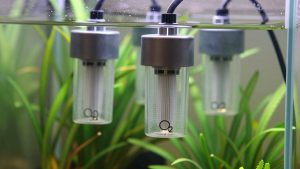 Best CO2 Diffusers for Planted Aquariums: Inline vs In-Tank Explained
