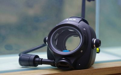 Best Dive Computers for Recreational Diving