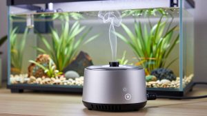 Best Electric Smokers for Easy Smoking
