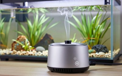 Best Electric Smokers for Easy Smoking