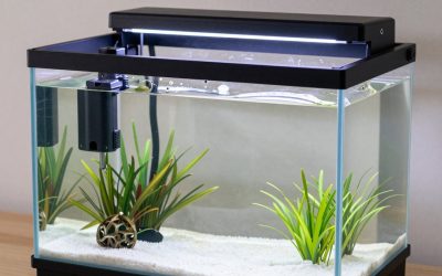 Best Equipment for 29 Gallon Aquarium in 2026: Compared and Ranked