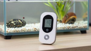 Best Fall Detection Devices