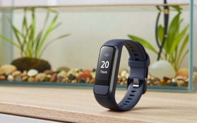 Best Fitbit Trackers
