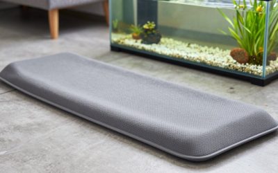 Best Foam Sleeping Pads for Camping Comfort