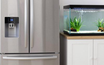 Best French Door Refrigerators: Reviews & Picks
