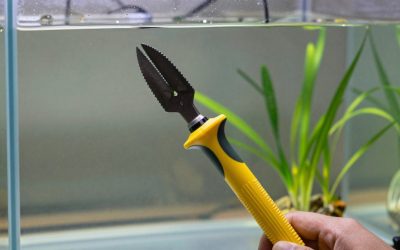 Best Garden Supply Tools in 2026: Buying Guide