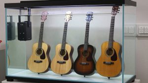 Best Guitar Brands in 2026: Buying Guide