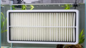 Best Hang on Back Filter under Fifty Dollars in 2026: Compared and Ranked