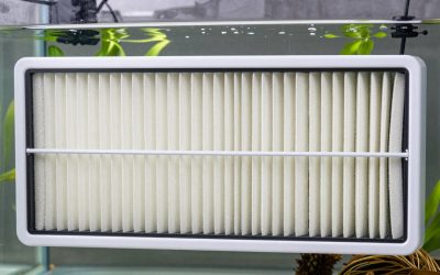 Best Hang on Back Filter under Fifty Dollars in 2026: Compared and Ranked