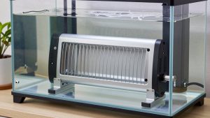 Best Heater for 40 Gallon Breeder Aquarium in 2026: Compared and Ranked