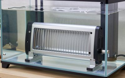 Best Heater for 40 Gallon Breeder Aquarium in 2026: Compared and Ranked