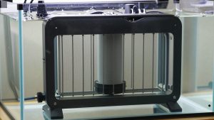 Best Heater for 5 Gallon Shrimp Tank in 2026: Compared and Ranked
