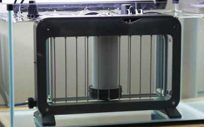 Best Heater for 5 Gallon Shrimp Tank in 2026: Compared and Ranked