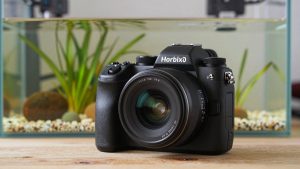 Best High-End Mirrorless Cameras for Weddings