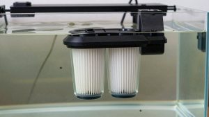 Best Koi Pond Filter Systems in 2026: Compared and Ranked