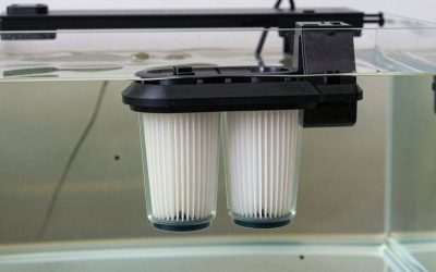 Best Koi Pond Filter Systems in 2026: Compared and Ranked