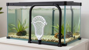 Best Lacrosse Rebounders for Backyard Training