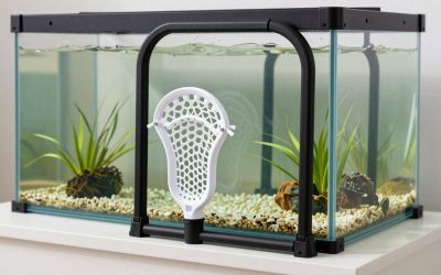 Best Lacrosse Rebounders for Backyard Training