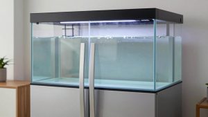 Best Long Term Refrigerators in 2026: Buying Guide