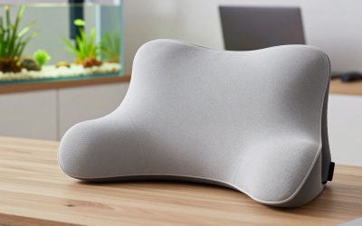 Best Lumbar Support Pillows for Office & Car Use