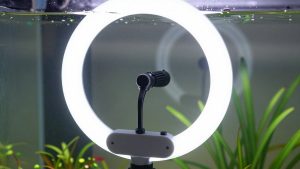 Best Macro Ring Lights for Sharp Close-Up Photos