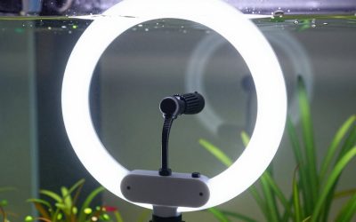 Best Macro Ring Lights for Sharp Close-Up Photos