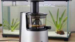 Best Masticating Juicers for Cold-Pressed Juice at Home