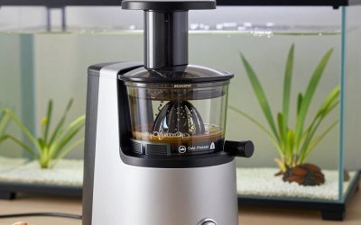 Best Masticating Juicers for Cold-Pressed Juice at Home