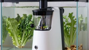 Best Masticating Juicers for Leafy Greens and Nuts