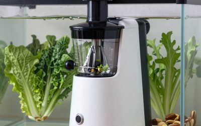 Best Masticating Juicers for Leafy Greens and Nuts