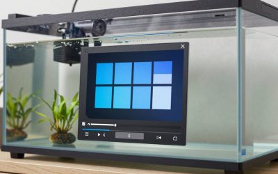 Best Media Player for Windows 11 in 2026: Top Picks for Every Budget