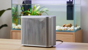 Best Mesh Systems Under $200 for Whole-Home WiFi