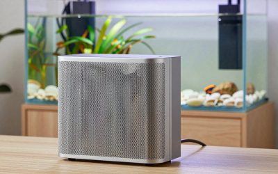Best Mesh Systems Under $200 for Whole-Home WiFi