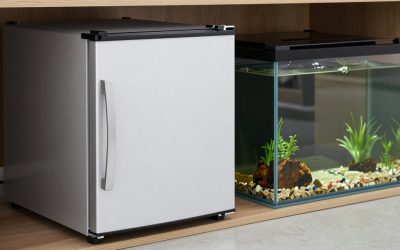 Best Mini Fridges for Garages