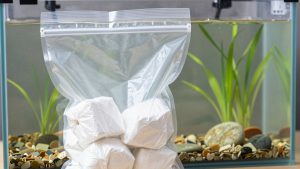 Best Mylar Bags for Emergency Food Storage Compared
