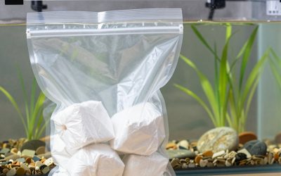 Best Mylar Bags for Emergency Food Storage Compared