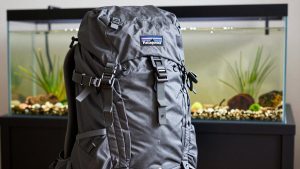 Best Patagonia Backpacks for Travel and Day Hikes