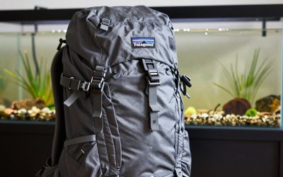 Best Patagonia Backpacks for Travel and Day Hikes