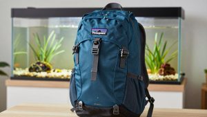 Best Patagonia Backpacks for Travel, Hiking and School