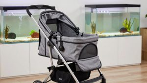 Best Pet Strollers for Safe, Comfortable Walks