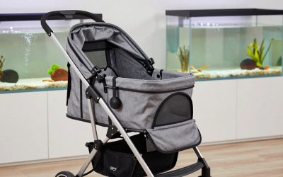 Best Pet Strollers for Safe, Comfortable Walks