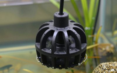 Best Pond Aerators for Fish Health in 2026: Compared and Ranked