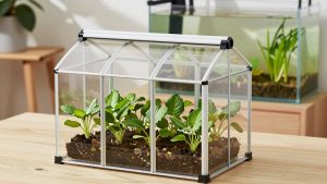 Best Portable Greenhouses for Small-Space Growing