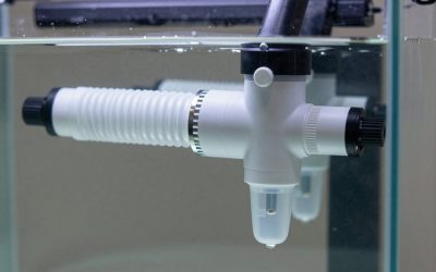 Best Protein Skimmer for 75 Gallon Reef Tank in 2026: Compared and Ranked