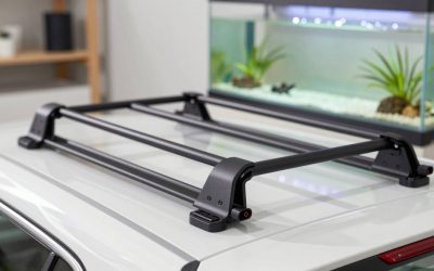 Best Ski Racks for Cars: Roof, Hitch, and More
