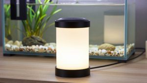 Best Solar-Powered Inflatable LED Lanterns